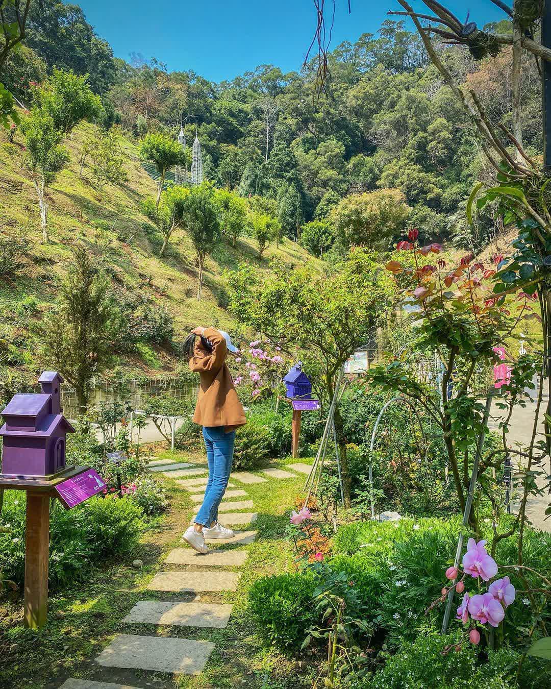 雅聞七里香玫瑰森林 | 去趣 chicTrip