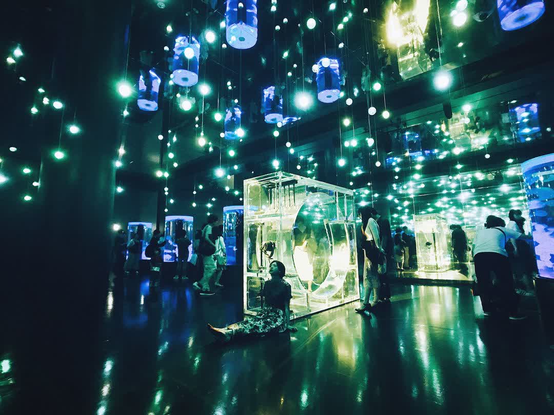 室內水族館 Maxell Aqua Park | 去趣 chicTrip