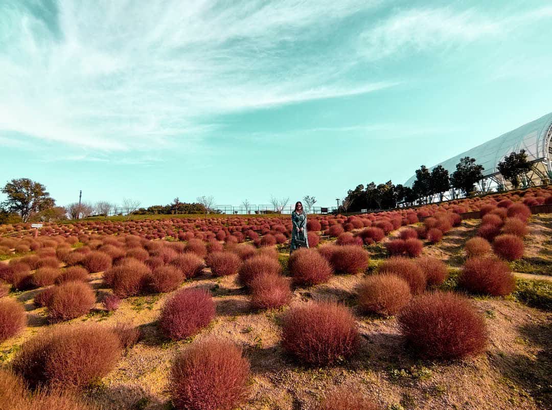 國營讚岐滿濃公園 | 去趣 chicTrip