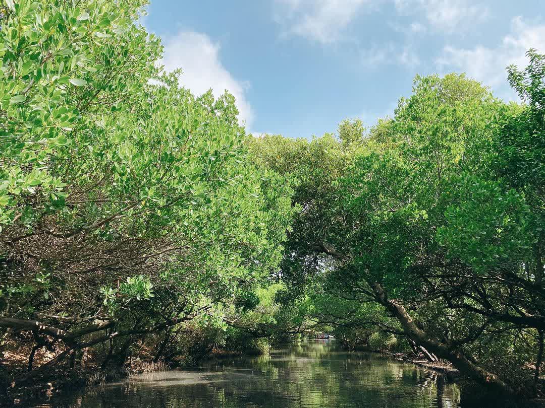 四草綠色隧道 | 去趣 chicTrip