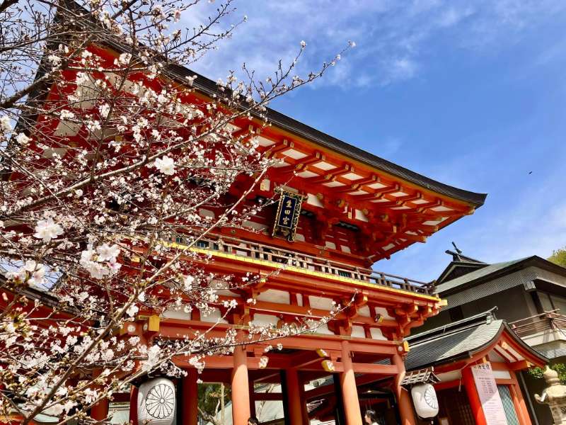 生田神社 | 去趣 chicTrip