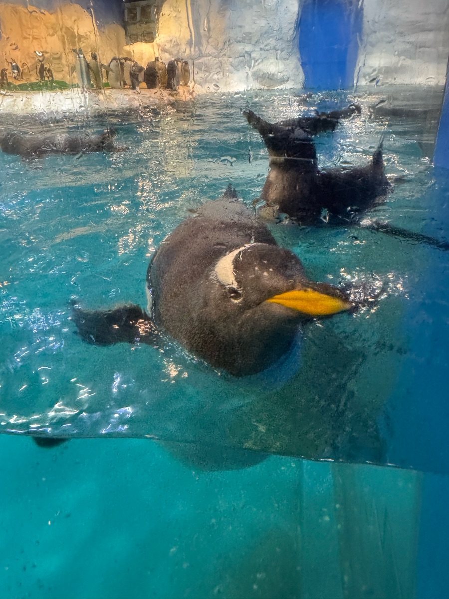 國立海洋生物博物館 | 去趣 chicTrip