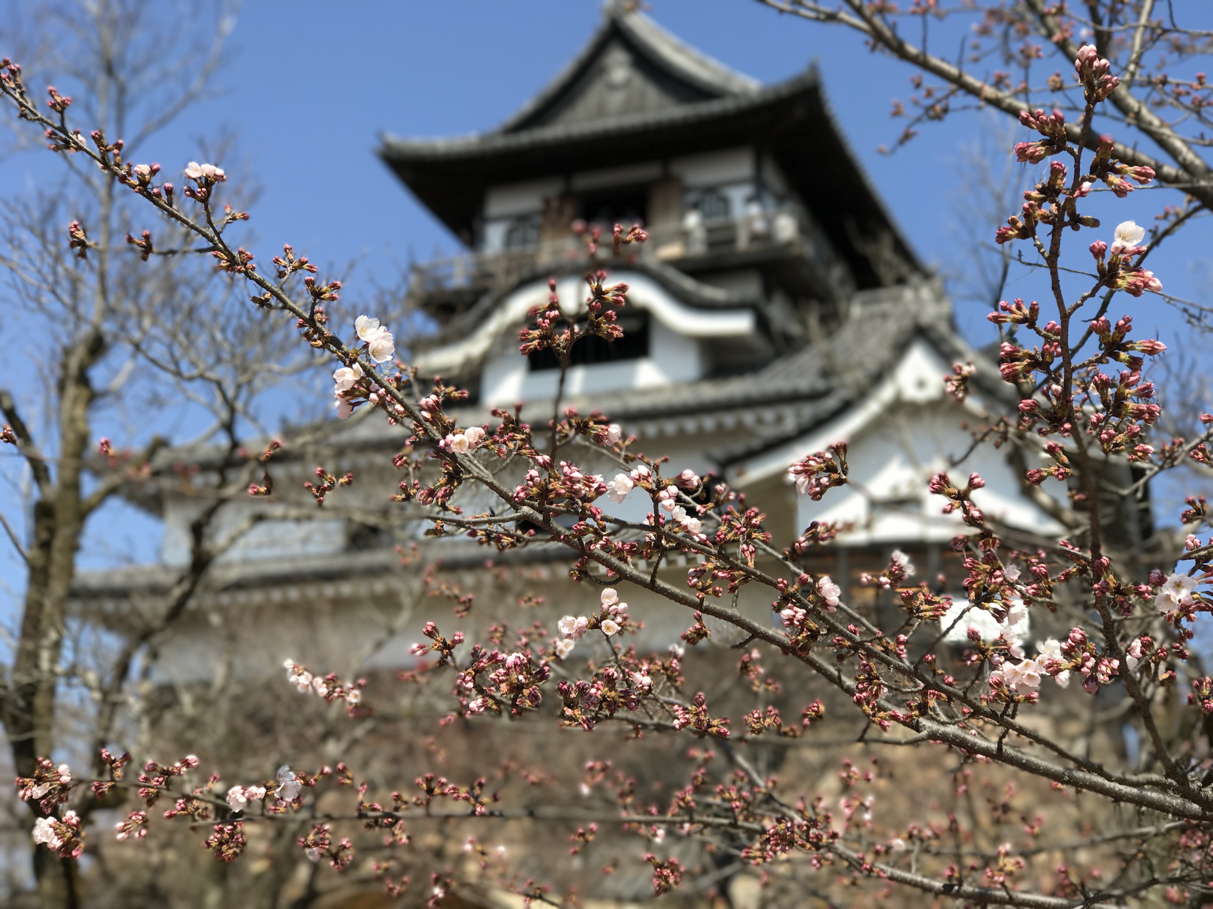 犬山城 | 去趣 chicTrip