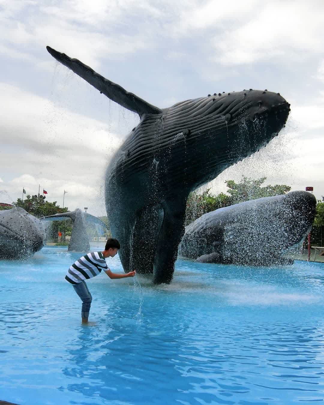 國立海洋生物博物館 | 去趣 chicTrip