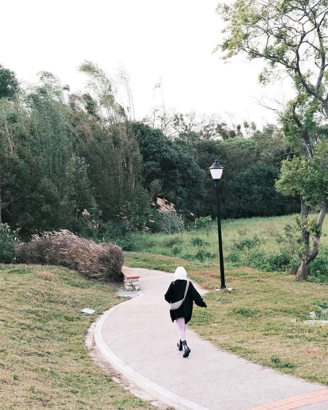 落羽松大道 | 去趣 chicTrip