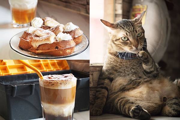 海島咖啡館｜貓咪咖啡館｜寵物友善 | 去趣 chicTrip