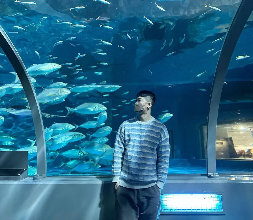 登別尼克斯海洋公園 | 去趣 chicTrip