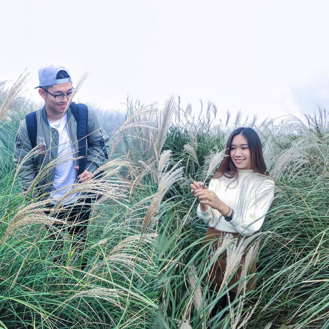 擎天崗 | 去趣 chicTrip