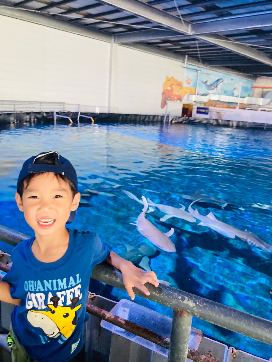 金車生技水產養殖研發中心 | 去趣 chicTrip