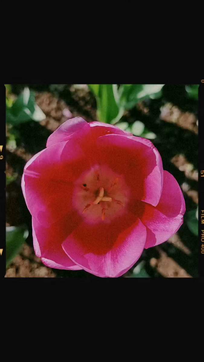 昭和紀念公園 | 去趣 chicTrip