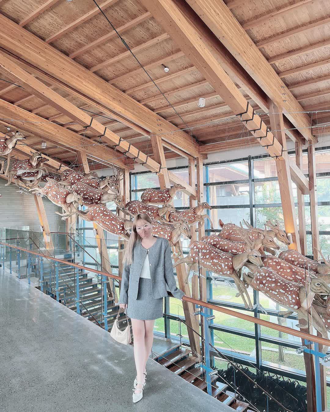 臺南左鎮化石園區(16:00截止售票、17:00閉館) | 去趣 chicTrip