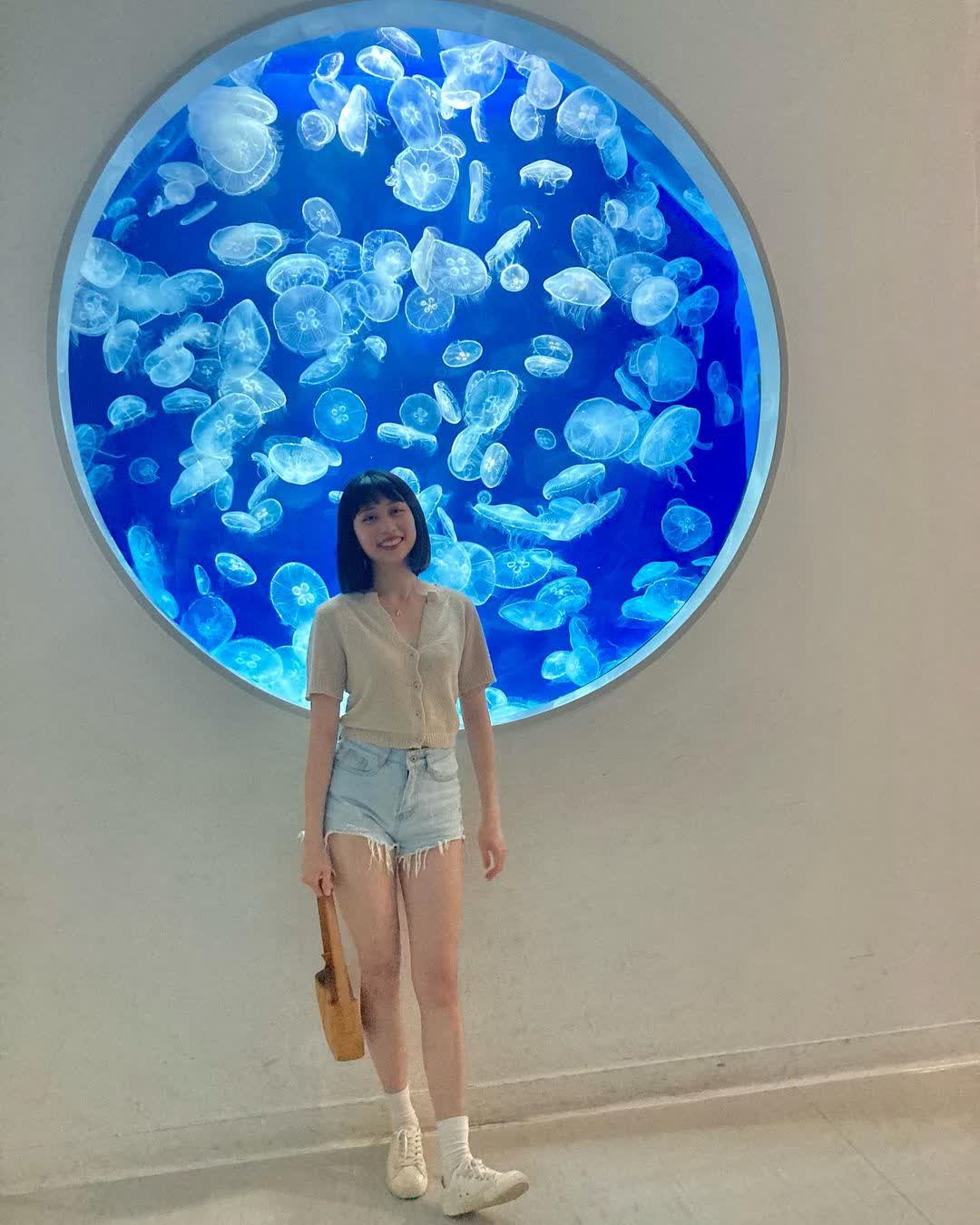 Xpark 水族館 | 去趣 chicTrip