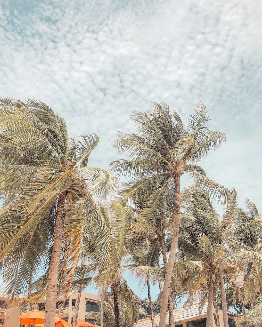 Kata Beach | 去趣 chicTrip