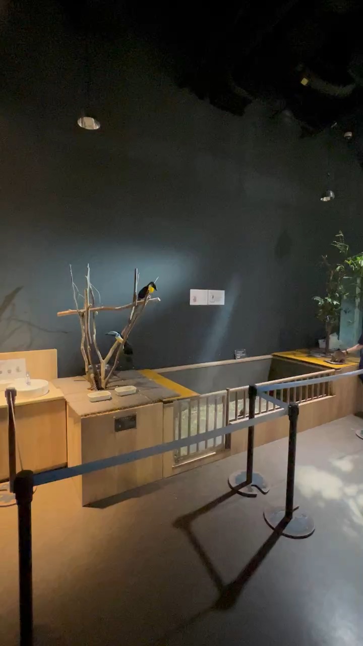 DMM Kariyushi水族館 | 去趣 chicTrip