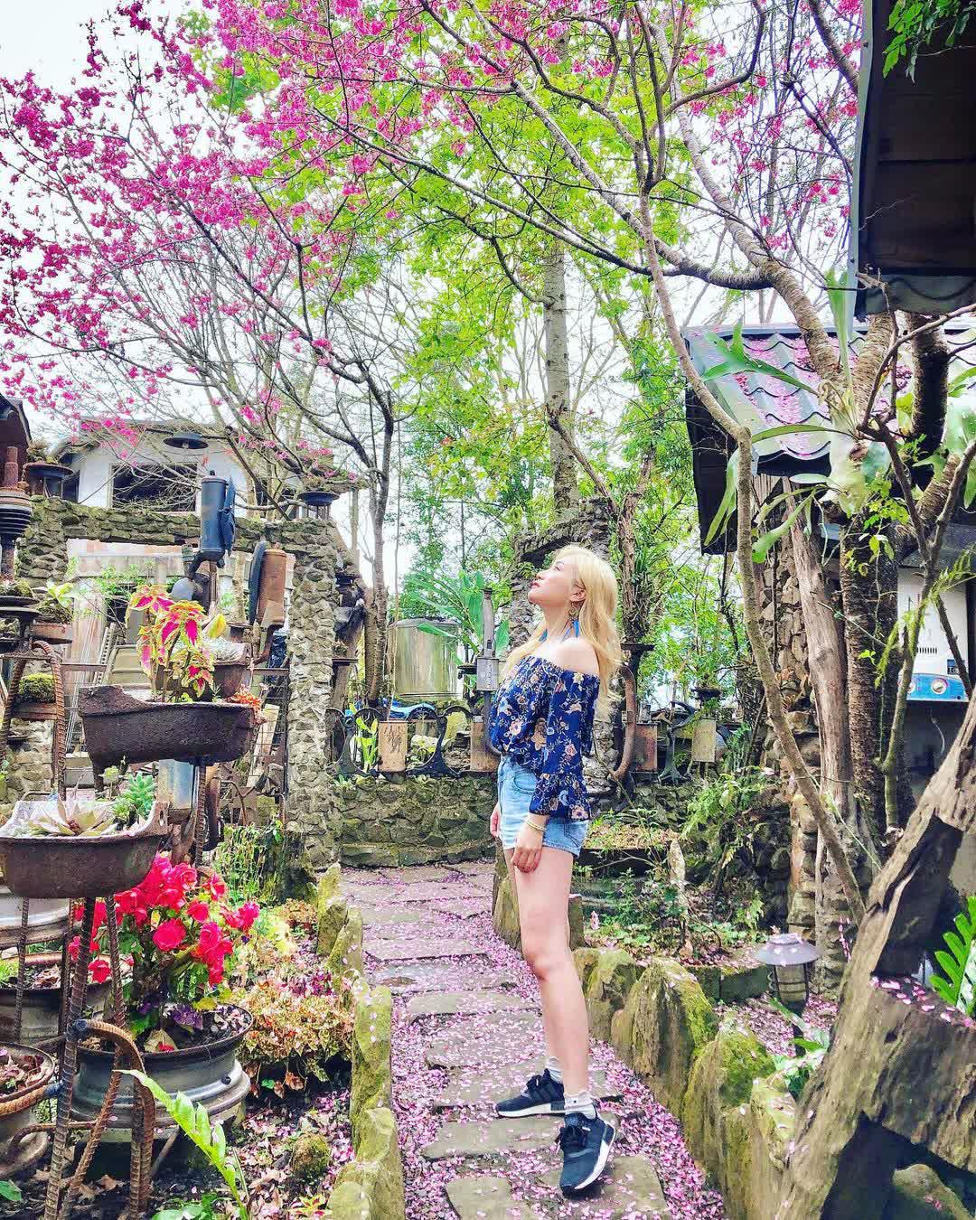 阿將的家23咖啡館(不供應正餐/加line了解詳細資訊) | 去趣 chicTrip