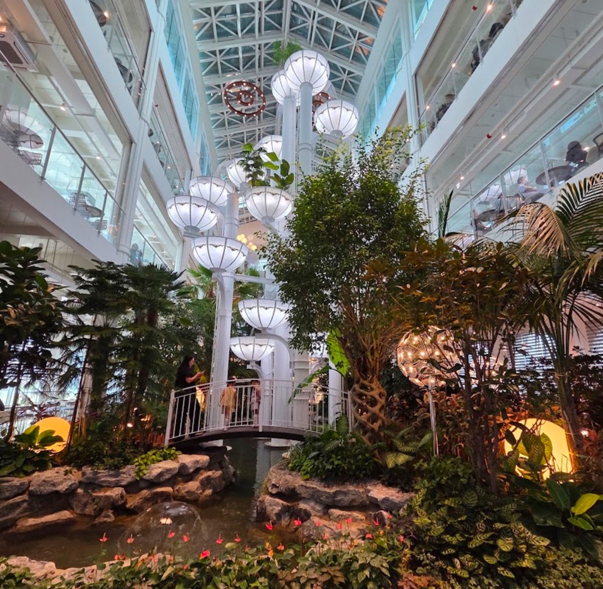 Forest Outings Yongin | 去趣 chicTrip