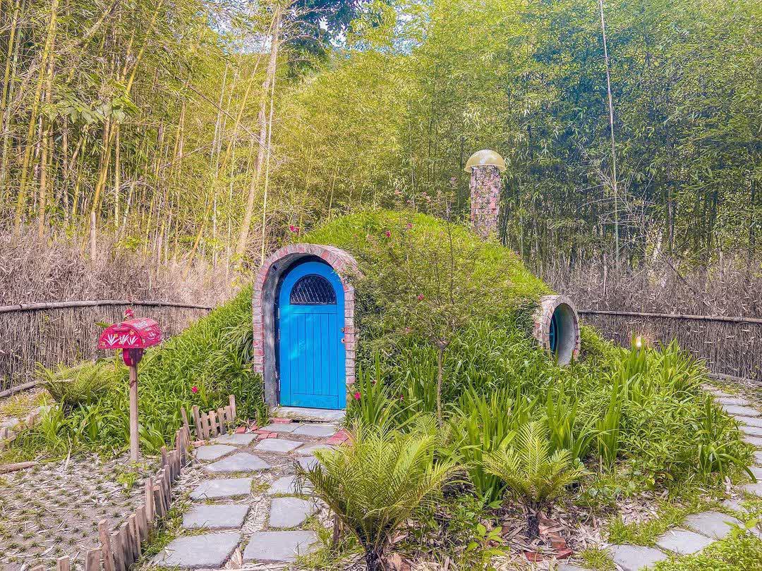 哈比丘茶樹森林 | 去趣 chicTrip