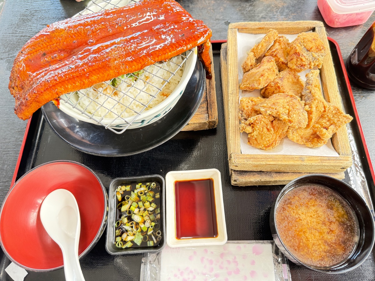 Ryoshi Shokudo Obanburumai Sakana Daitoryo | 去趣 chicTrip