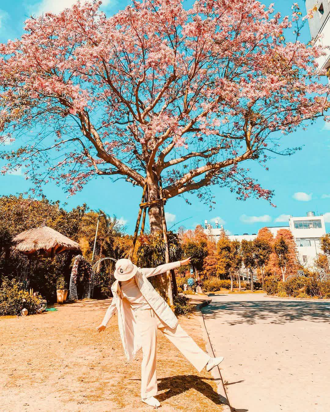 桃園楊梅雅聞魅力博覽館