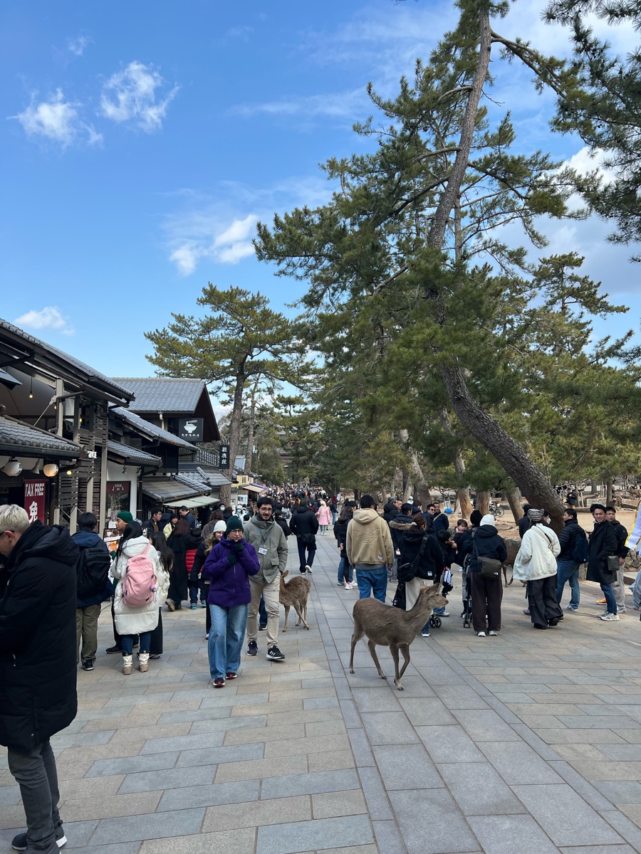 Tōdai-ji 東大寺 | 去趣 chicTrip