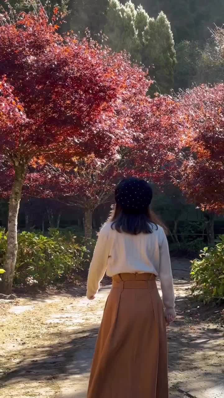 杉林溪森林生態渡假園區 | 去趣 chicTrip