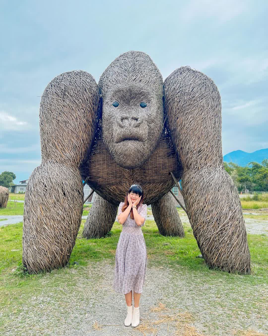 富里花海景觀區  (花蓮縣富里鄉農會旁) | 去趣 chicTrip