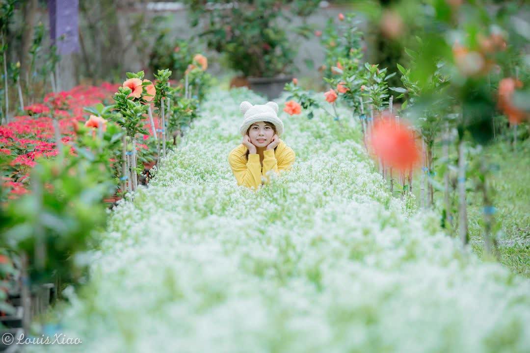 台一生態休閒農場(楓樺台一渡假村) | 去趣 chicTrip