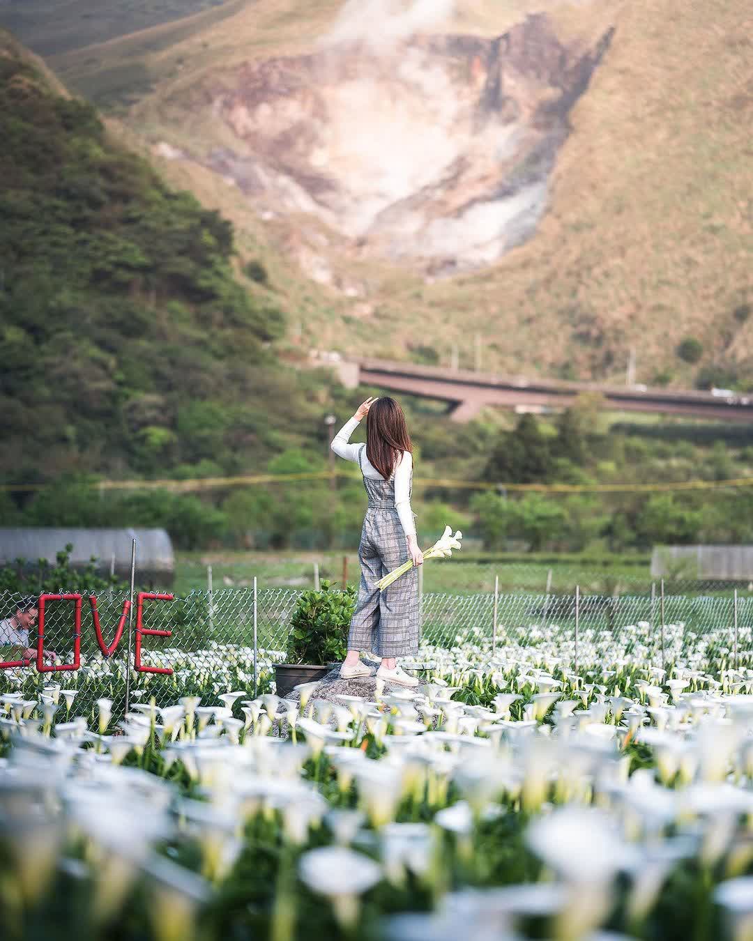 陽明山國家公園 | 去趣 chicTrip