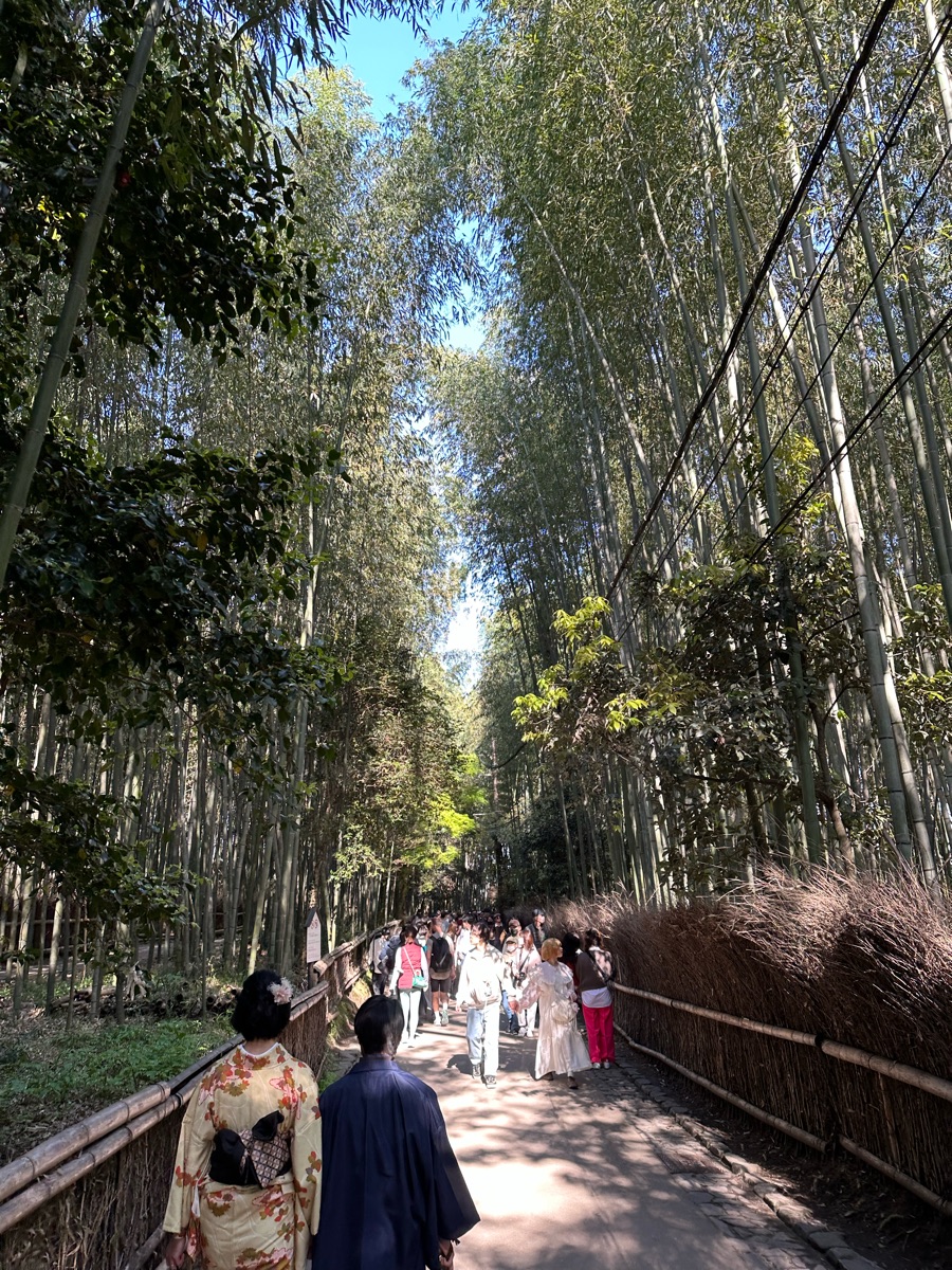 嵐山竹林小徑 | 去趣 chicTrip