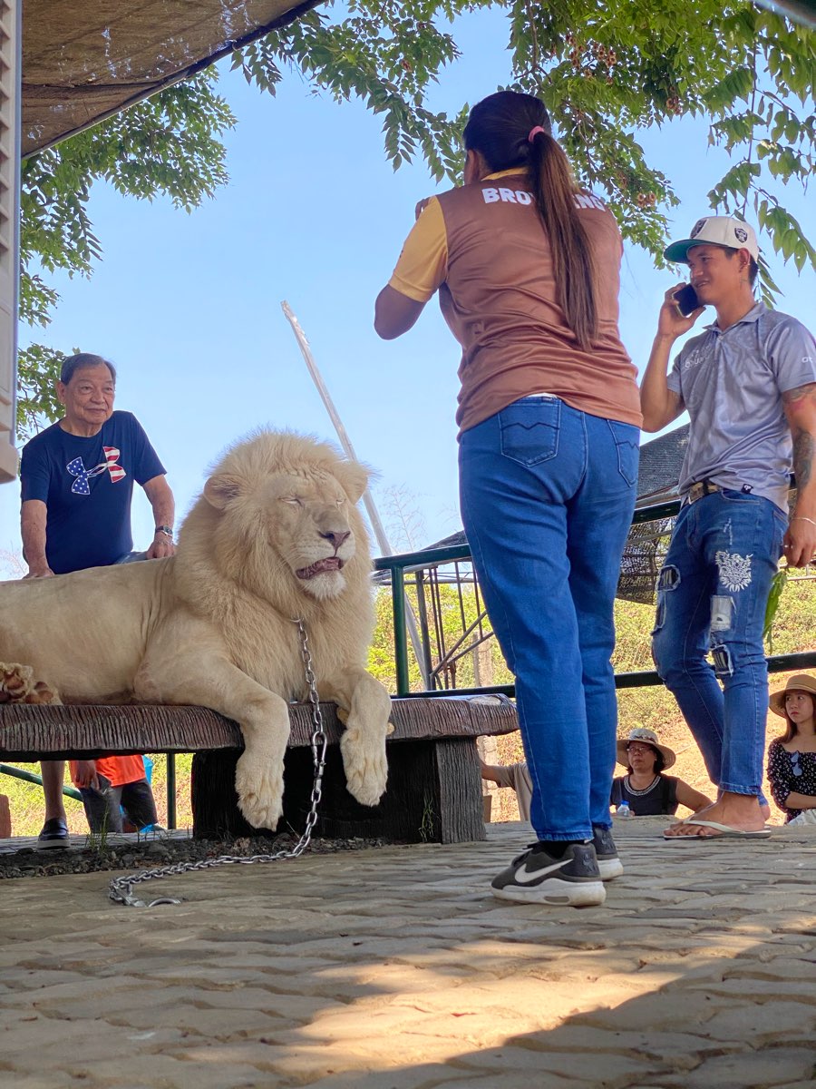 Baluarte Resort and Mini Zoo | 去趣 chicTrip