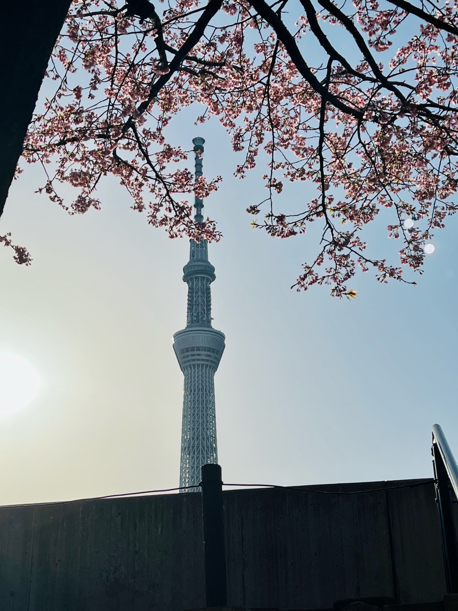 隅田公園 (淺草側) | 去趣 chicTrip