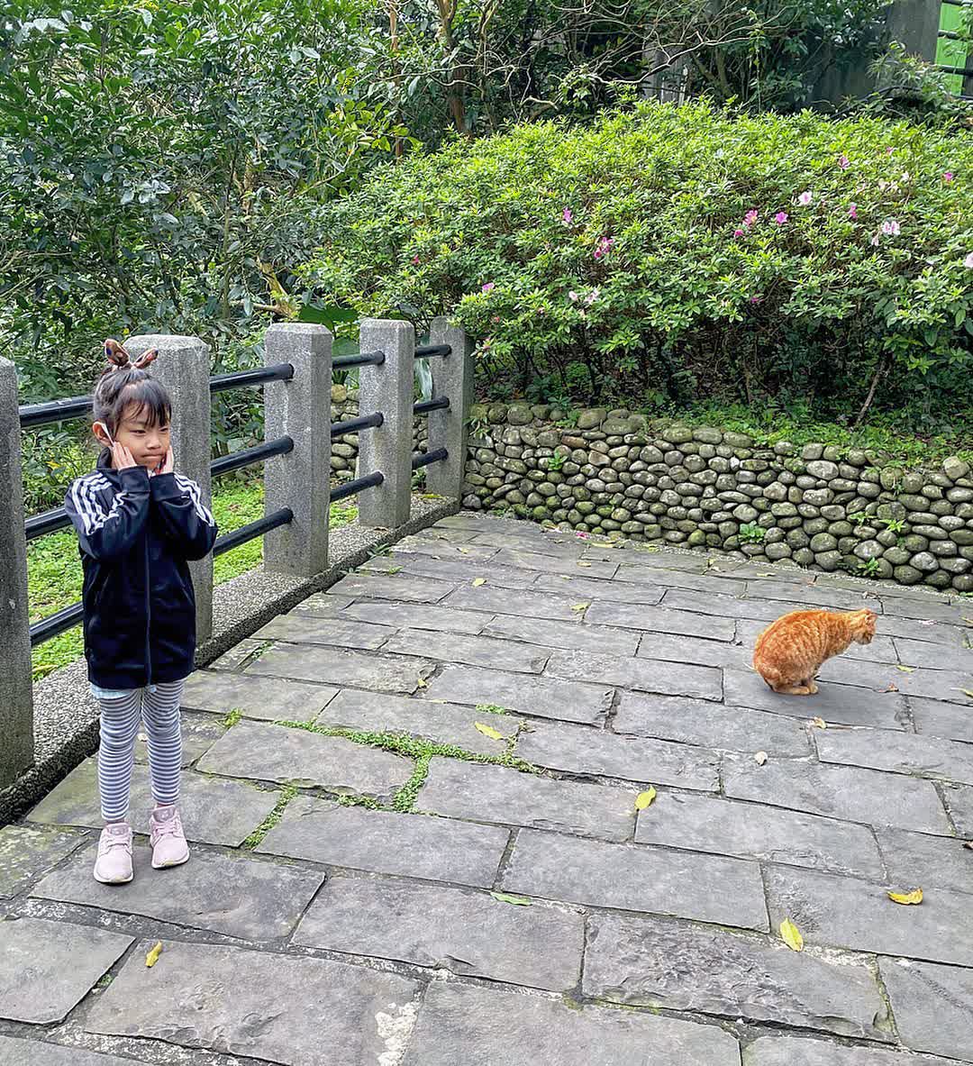 猴硐貓村 | 去趣 chicTrip