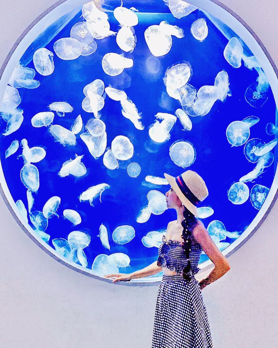 Xpark 水族館 | 去趣 chicTrip