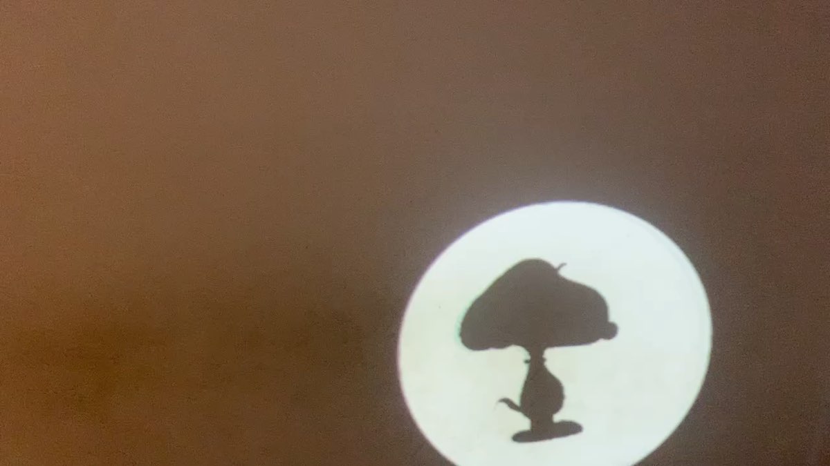 Snoopy Garden | 去趣 chicTrip