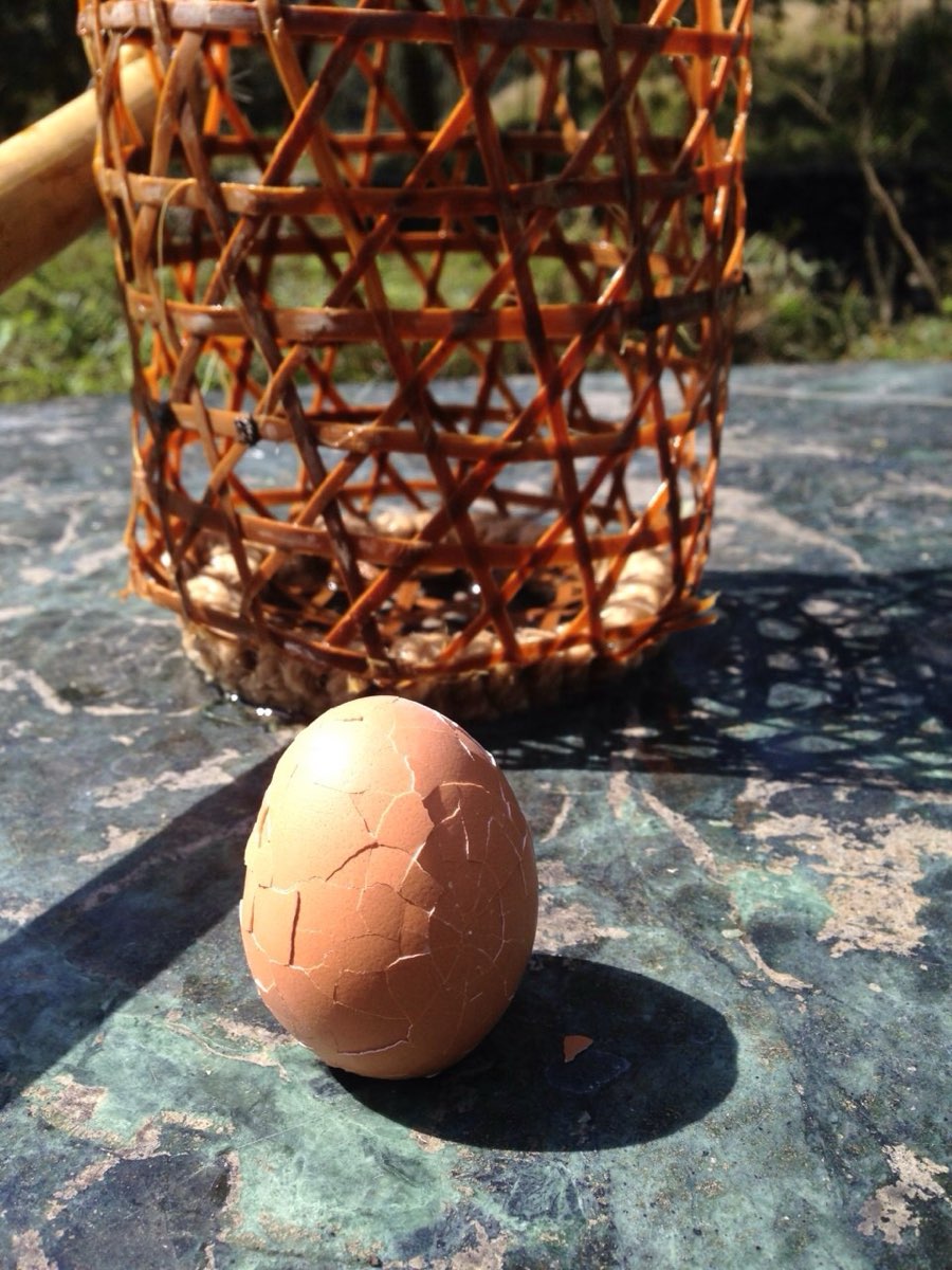 清水地熱公園 | 去趣 chicTrip