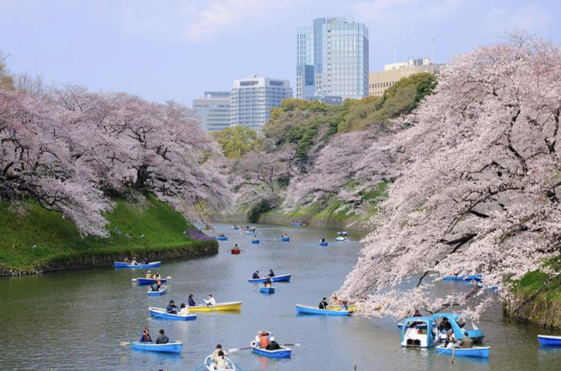Chidorigafuchi Park | 去趣 chicTrip