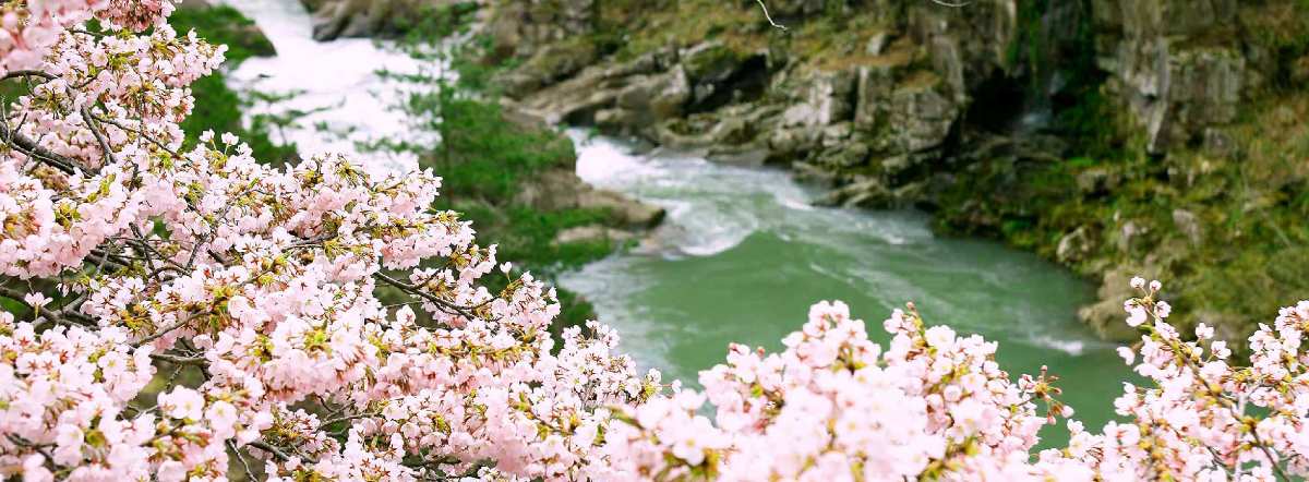 嚴美溪 | 去趣 chicTrip