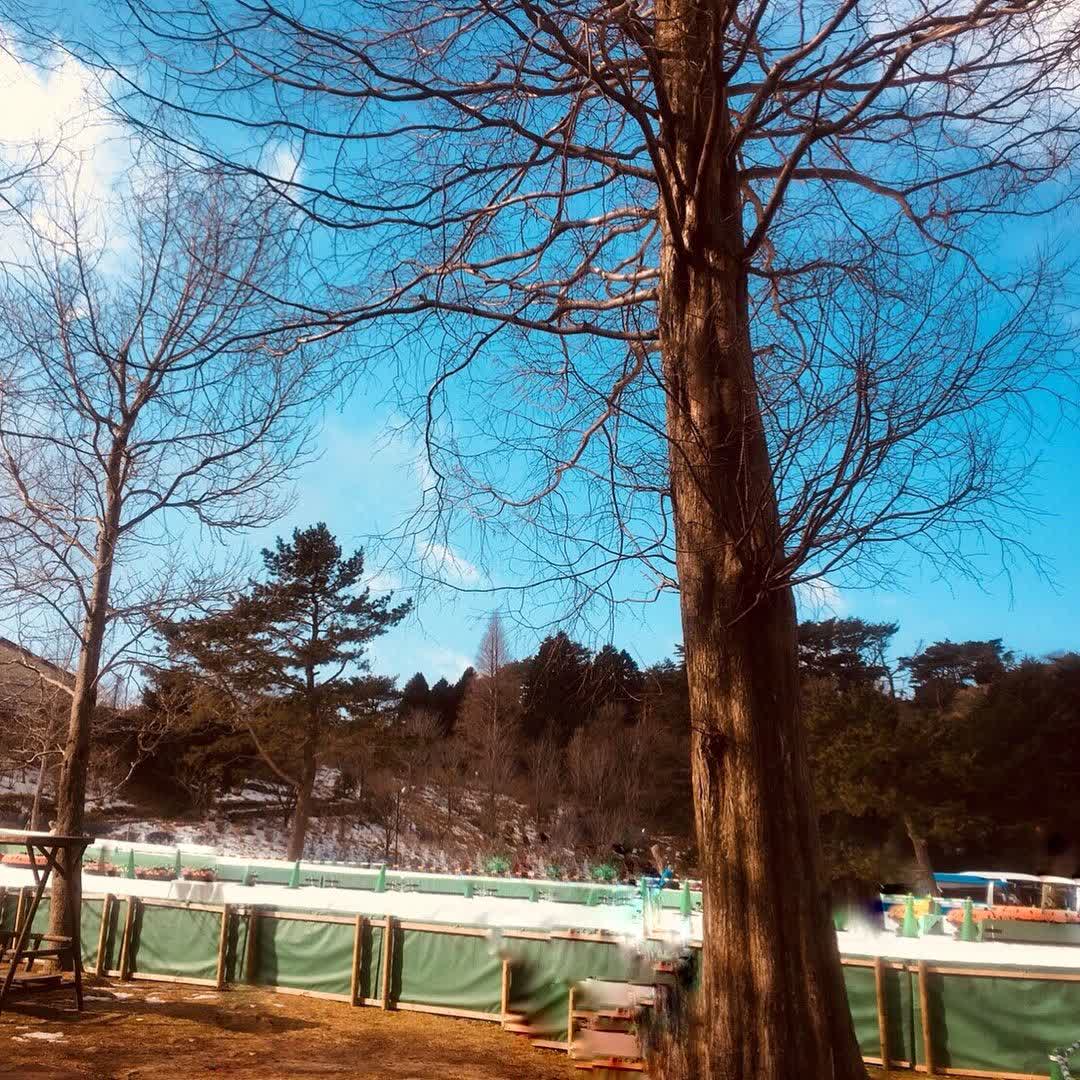 六甲山滑雪場 | 去趣 chicTrip