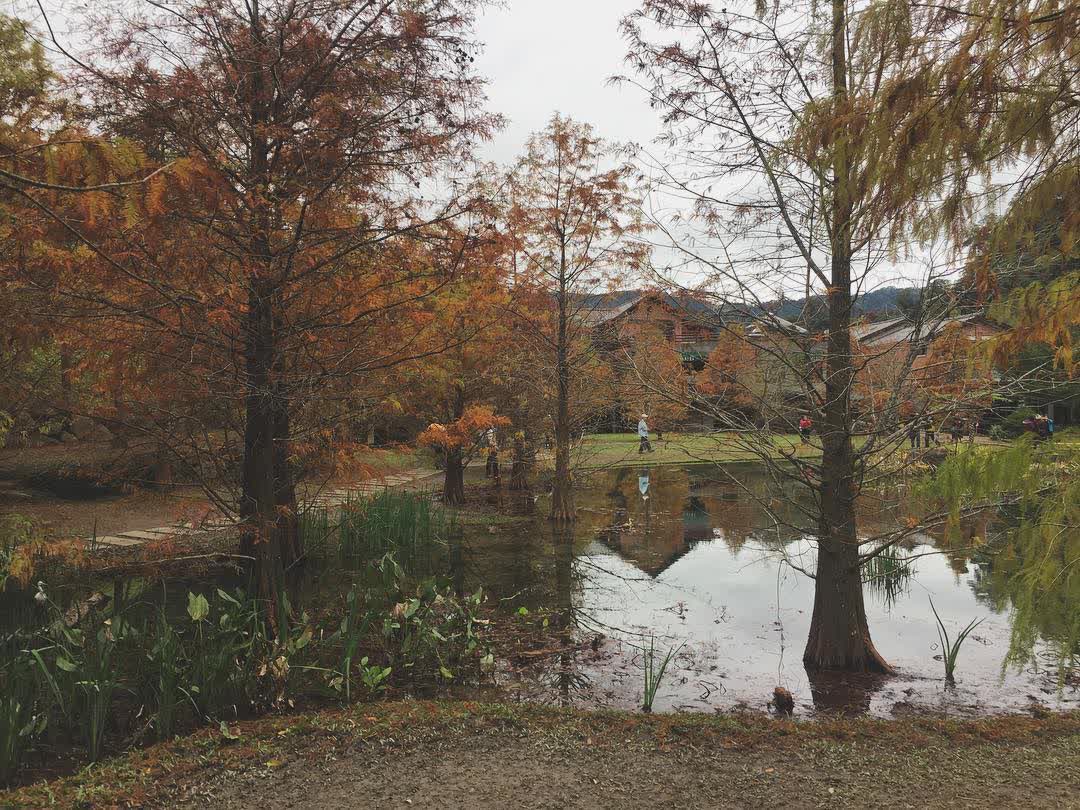 南庄雲水度假溫泉 (Cloudland Resort) | 去趣 chicTrip