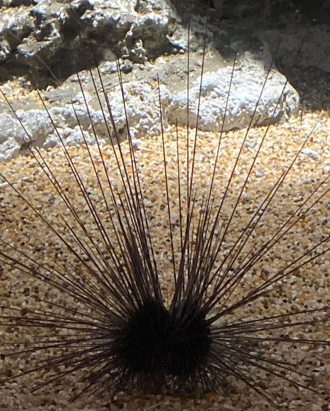 Xpark 水族館 | 去趣 chicTrip