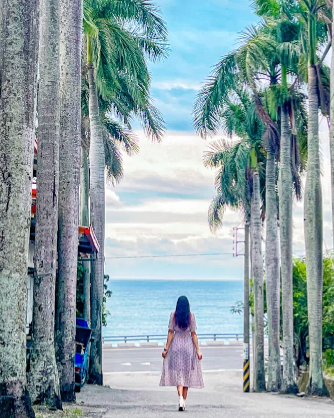 華源椰林大道 | 去趣 chicTrip