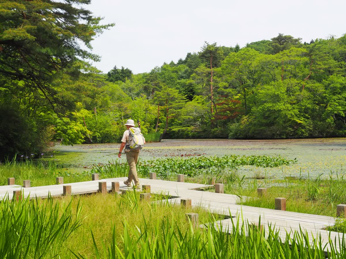 神戶市立森林植物園 | 去趣 chicTrip