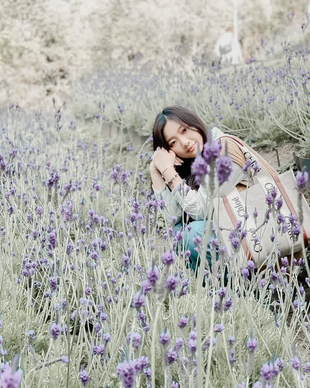 薰衣草森林台中新社店 | 去趣 chicTrip