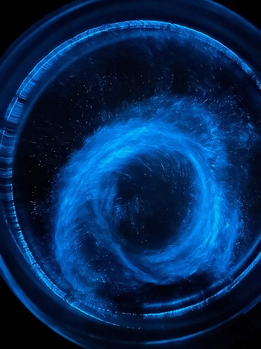 藍眼淚生態館 | 去趣 chicTrip