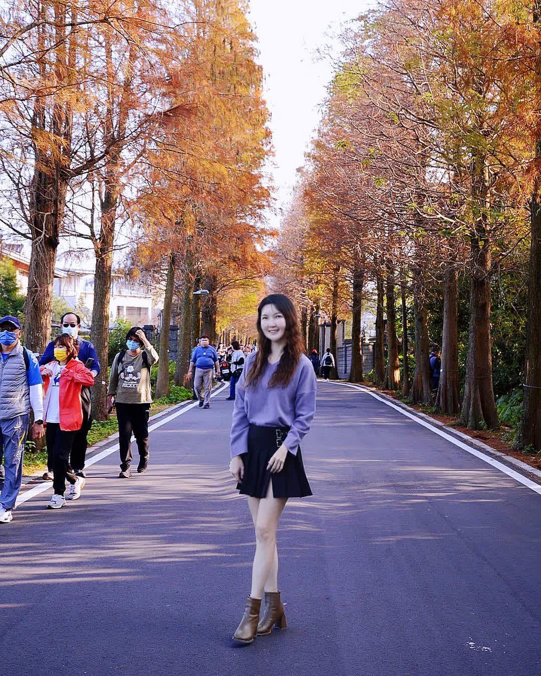 落羽松大道 | 去趣 chicTrip