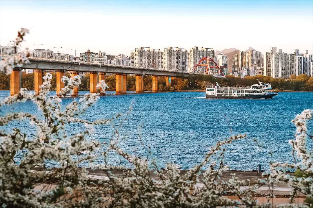 汝矣島漢江公園 | 去趣 chicTrip