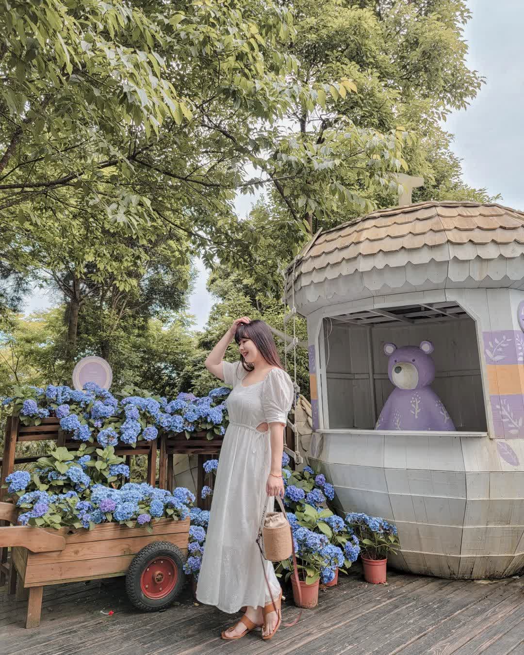 薰衣草森林新竹尖石店 | 去趣 chicTrip