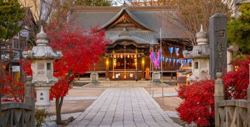 四柱神社 | 去趣 chicTrip