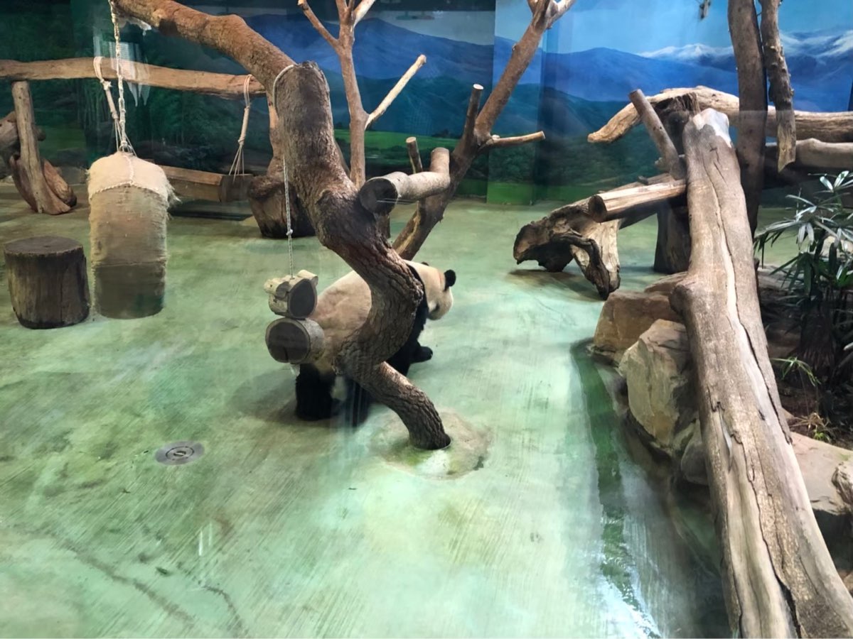 臺北市立動物園 | 去趣 chicTrip