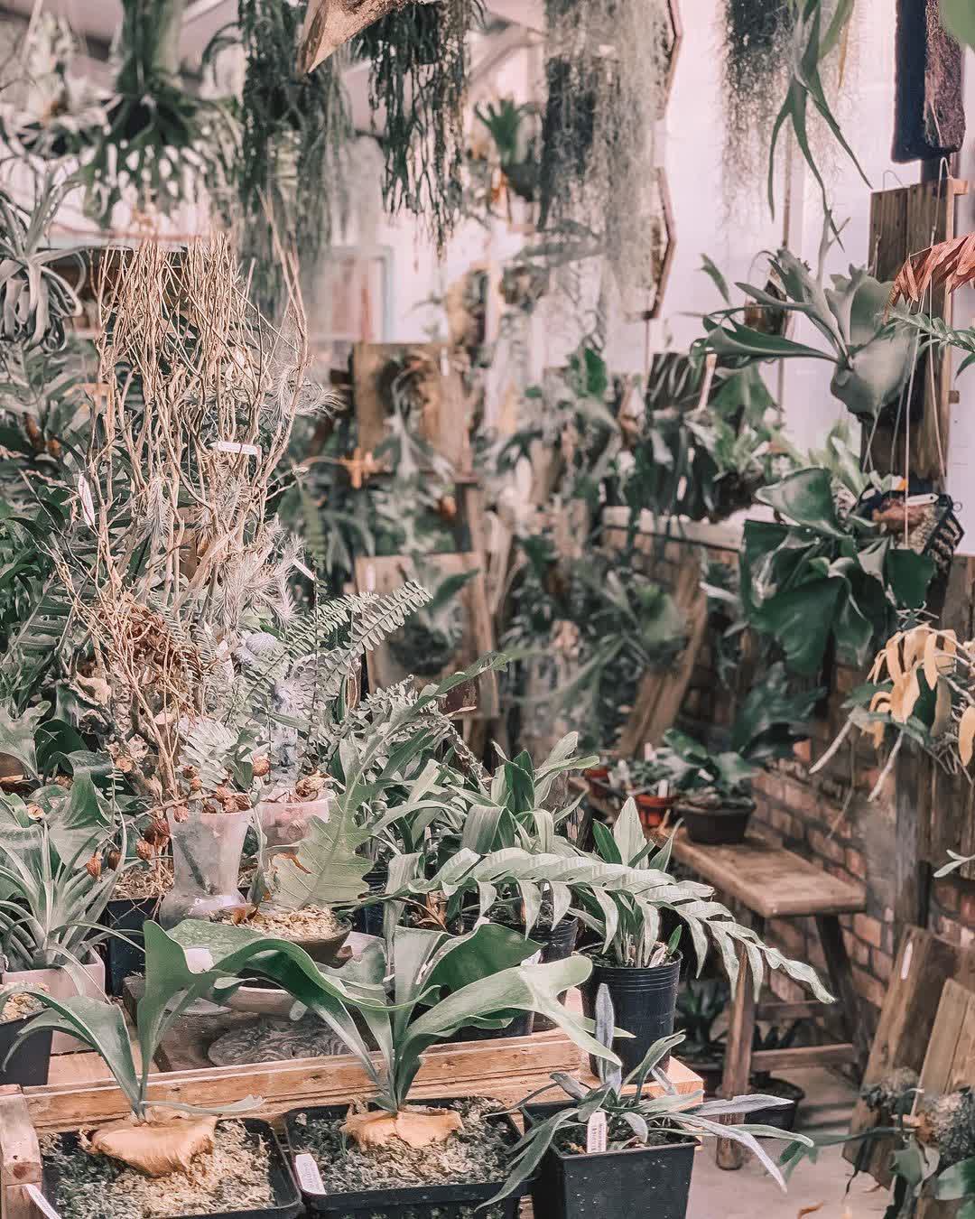 空氣圖書館 AIR LIBRARY